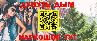 индика Рузаевка