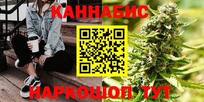 индика Рузаевка