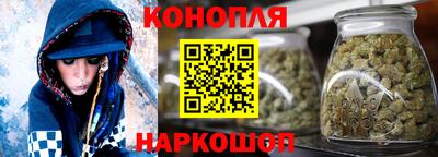 индика Рузаевка