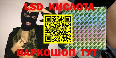 прущие грибы Славянск-на-Кубани