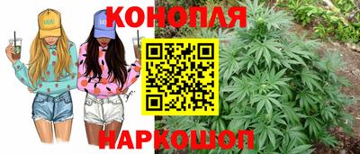 индика Рузаевка
