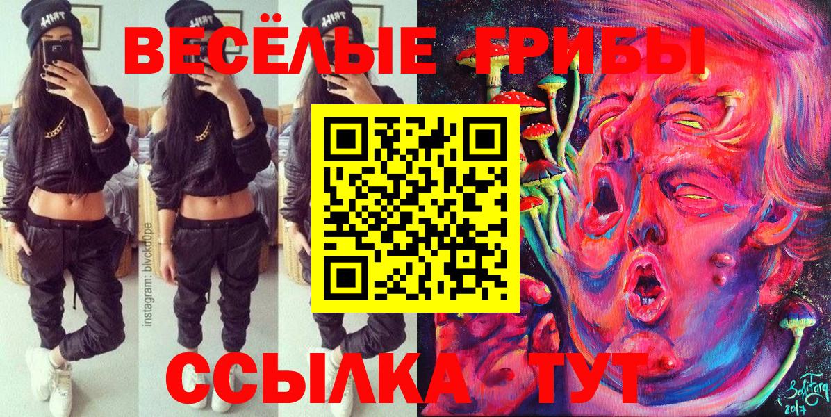 Галлюциногенные грибы Psilocybine cubensis  Вход с VPN  Орёл 