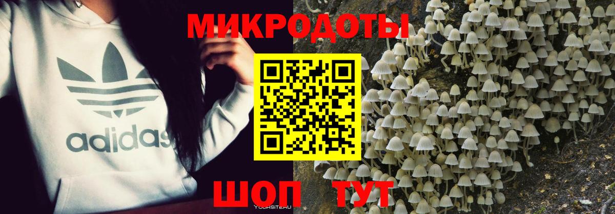 Галлюциногенные грибы Magic Shrooms Орёл